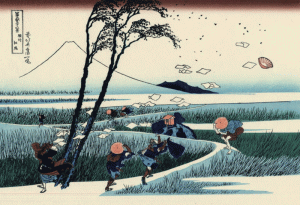 HS_Hokusai